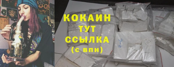 МДПВ Вяземский