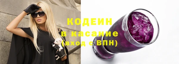 МДПВ Вяземский