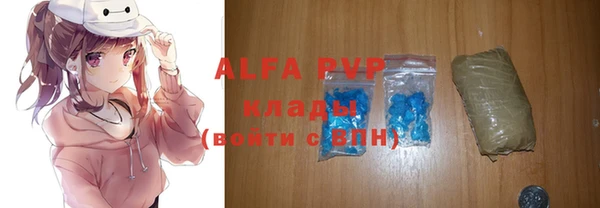 МДПВ Вяземский