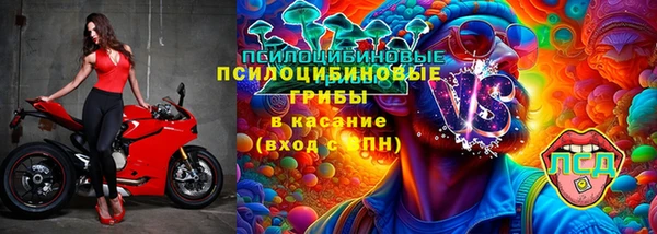 МДПВ Вяземский