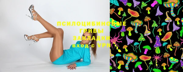 МДПВ Вяземский